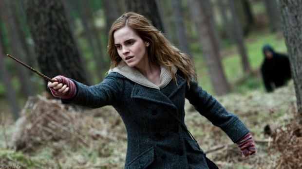 Yup, Harry and Ron would definitely be lost without their intelligent, feisty and resourceful Hermione.