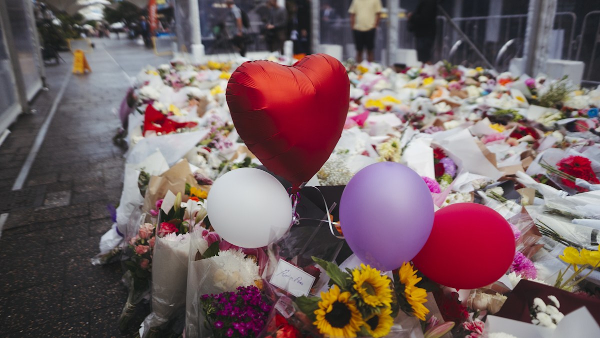 Bondi Junction stabbing inquest expanded to include media coverage of ...