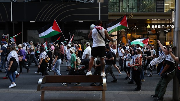 Demonstrators during a Pro Palestine rally organised by the Palestinian Action Group Sydney held at Hyde Park in Sydney on October 6, 2024. Photo: Dominic Lorrimer