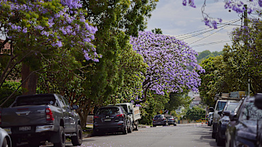 8. 2023 - Bellevue Hill (NSW)