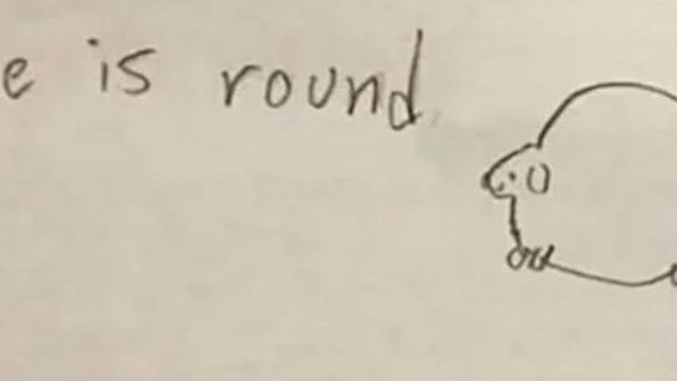 child activity fat shames dog