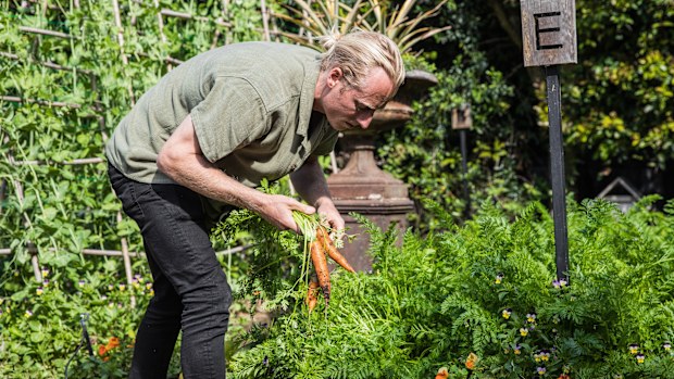 Taylor Cullen in the Chiswick kitchen garden