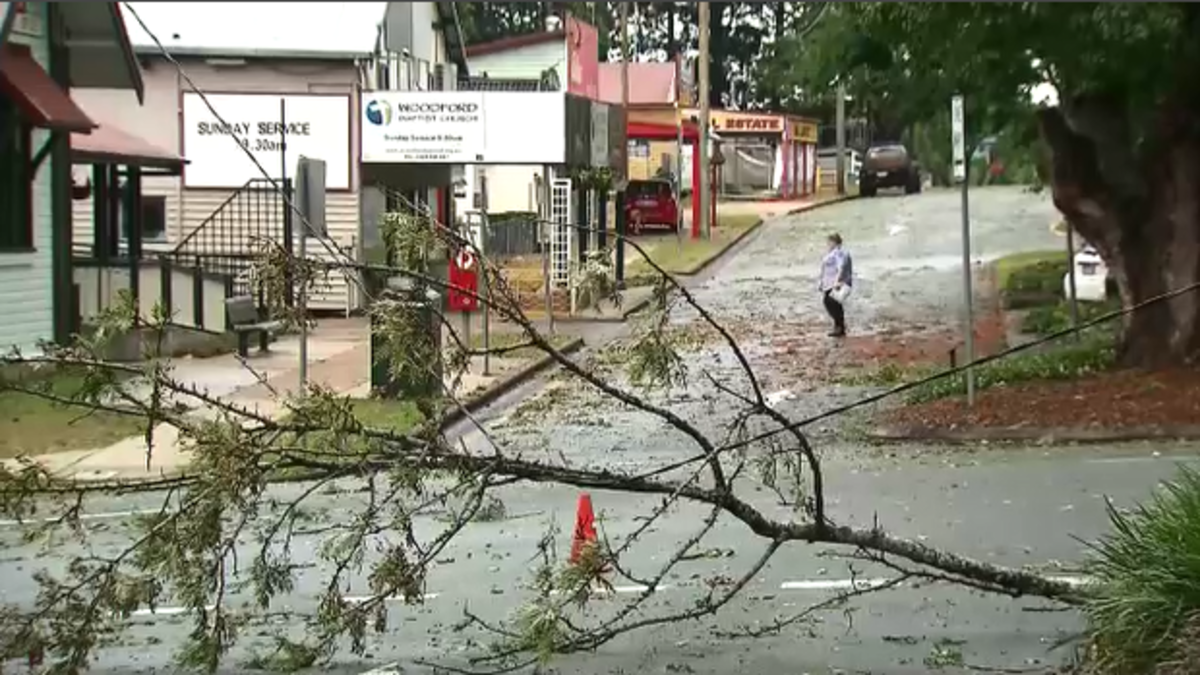 Queensland weather: Trees down and power out as storms lash Queensland ...