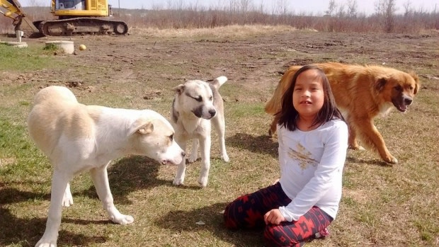The girl was kept warm overnight by her three loyal companions. (CBC News/Michael Cross) 