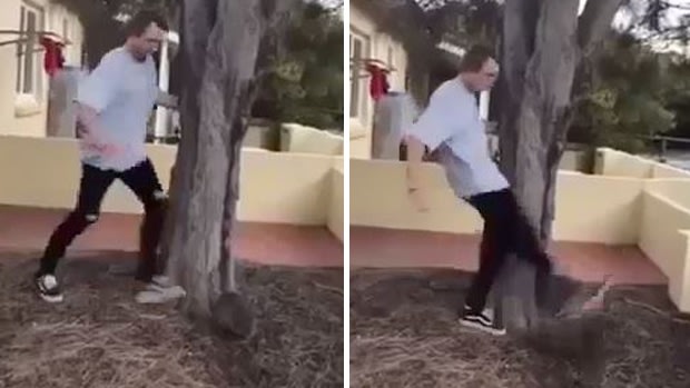 A man kicks the frightened quokka twice in the video.