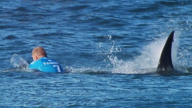 Mick Fanning was attacked by a shark during the J-Bay Open, managing to punch and kick it away.