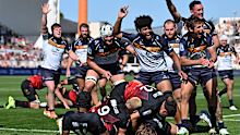 The Brumbies celebrate a try. 