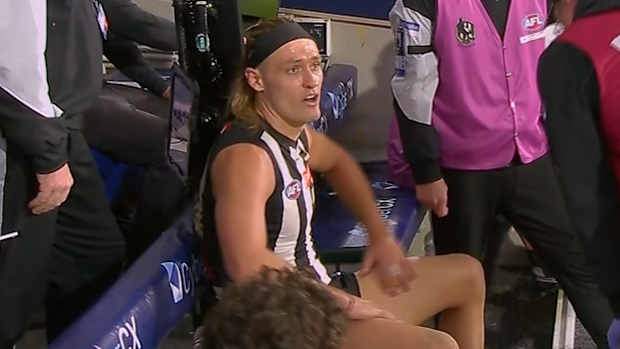 AFL news 2026: Collingwood under fire over Darcy Moore hamstring injury;  Craig McRae responds | Nine.com.au