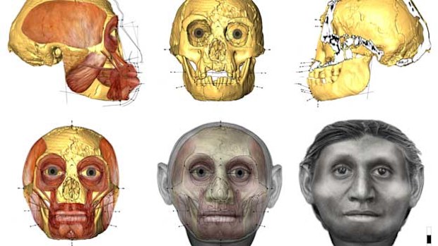 Facial approximation of the 'hobbit'