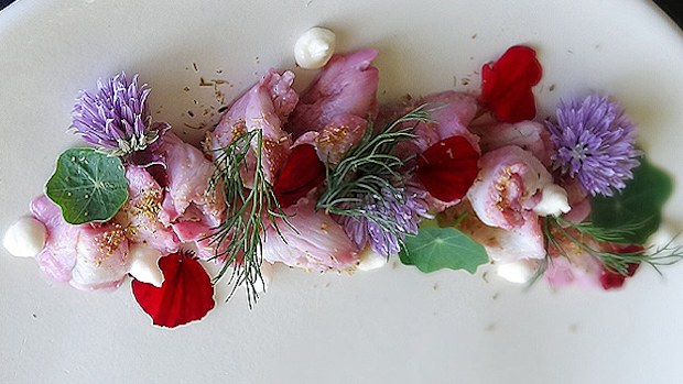 Blood orange cured barramundi
