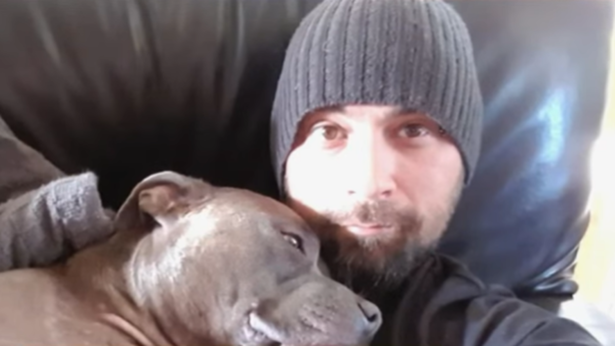 Kane Minion death: Guard dogs menaced worker before meter reader killed ...