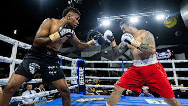 What boxing is all about