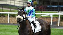 I Wish I Win finished last in this year's $20 million Everest.
