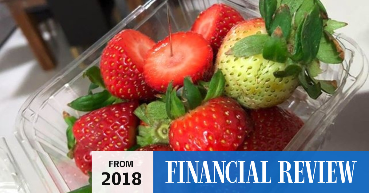 Federal government to rush through new laws to stop strawberry sabotage