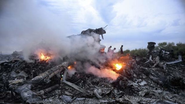 The wreckage of Malaysia Airlines flight MH17.