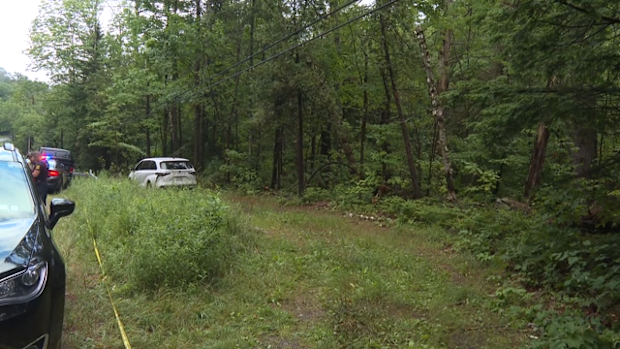 Police scoured the bushland around Lake George in upstate New York, where they later found Melina's body in a pond.