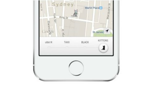 Uber is today offering a "kittens on demand" service. (Uber)