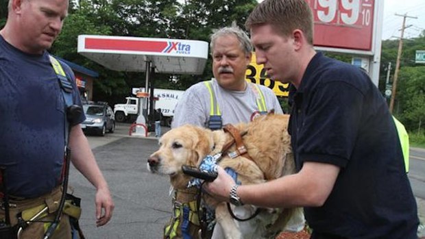Figo being helped after the crash. (The Journal News)