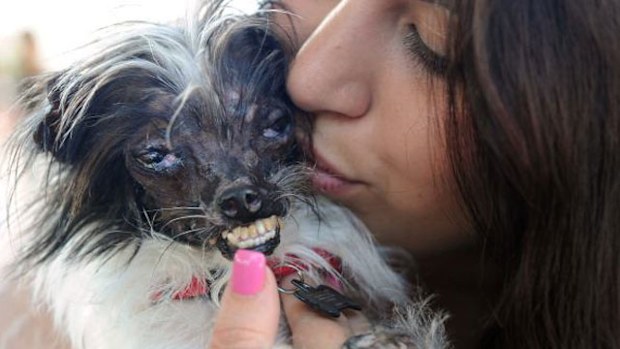 Peanut and his owner Holly Chandler. (Supplied)