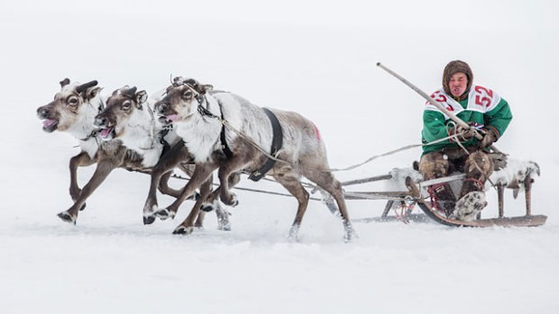 A local man on a reindeer driven sled in the Yamalo-Nentsky region. (AFP)