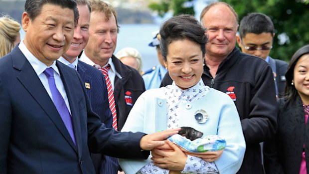 Chinese President Xi Jinping and his wife Madame Peng Liyuan meet Tasmanian Devils during a visit to Government House in Hobart. (AAP)