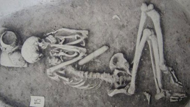 The skeleton of a Bronze Age infant from the National Museum of Kikinda in Serbia. (University of Cambridge)