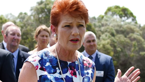 One Nation Senator Pauline Hanson. (AAP)