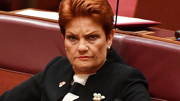One Nation leader Pauline Hanson. (AAP)