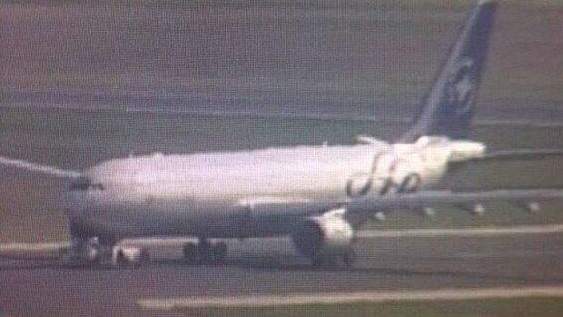 The grounded plane. (Jo Hall/Twitter)
