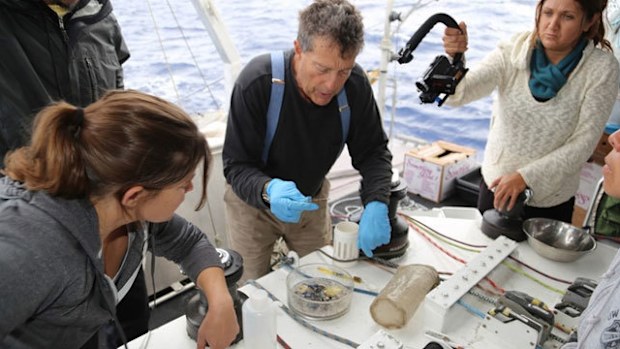 Captain Charles Moore and his team spent six months locating a 2.5 million square kilometre garbage patch in the South Pacific Ocean. (researchgate.net)
