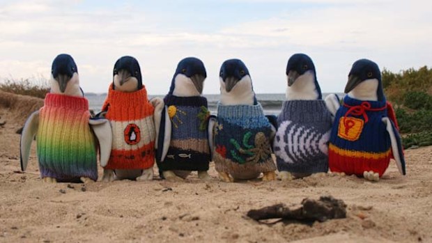 Little penguins