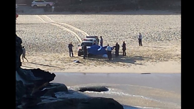 Witnesses snapped this photo of paramedics attending to the incident. (Supplied)