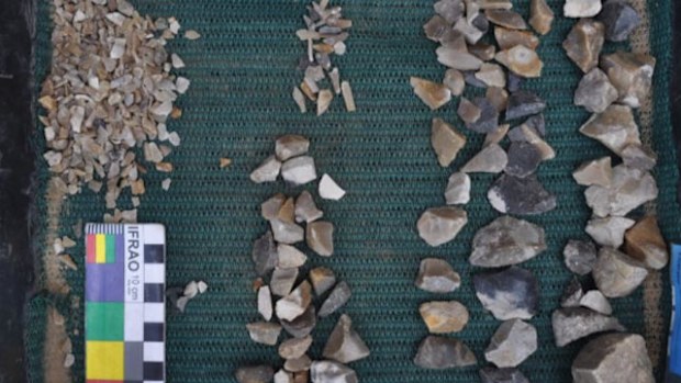 Some of the more than 20,000 artefacts found at the site. (Tocomwall)