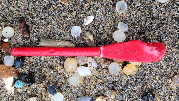 Ironically, many of the Lego pieces that washed up came from a box set with a nautical theme. (Facebook)