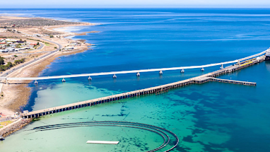 8. Wallaroo