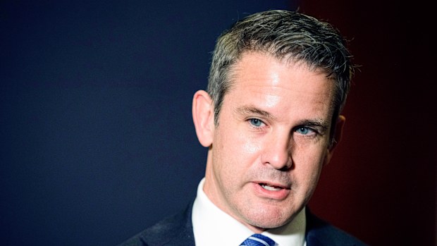 Rep. Adam Kinzinger, R-Ill was among 10 Republican House members who voted to impeach Donald Trump.