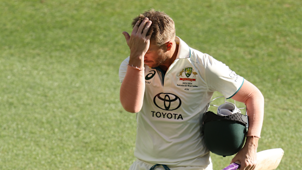 David Warner after his heroic knock in Perth.