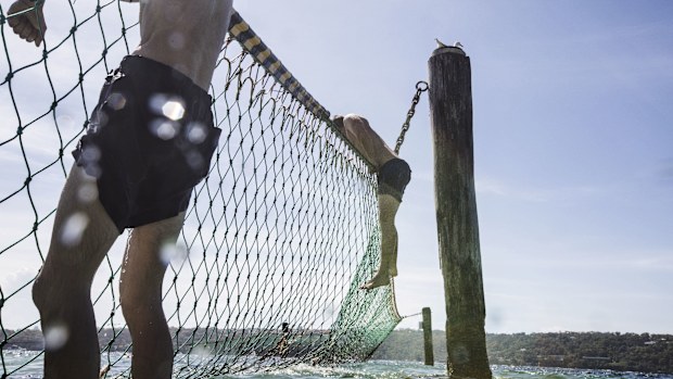 English tourists cool off outside the shark net at Shark Beach, Nielson Park which is one of Sydney's harbour beaches with the cleanest water, on 27 December 2018
