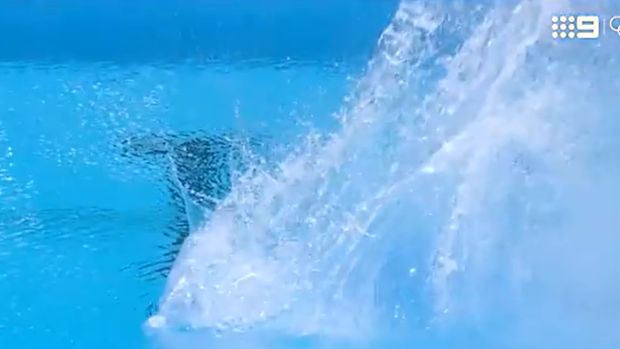 Im Yong Myong made a massive splash for all the wrong reasons, after a failed dive.