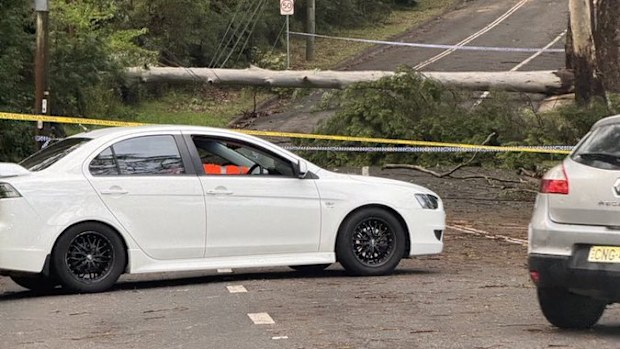 Sydney storms on January 15 have left destruction over NSW this morning. 