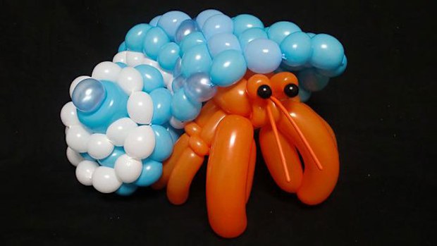 Balloon crab (Masayoshi Matsumoto/Twitter)