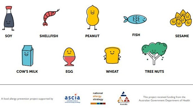 Common food allergens noted by Nip Allergens in the Bub. 