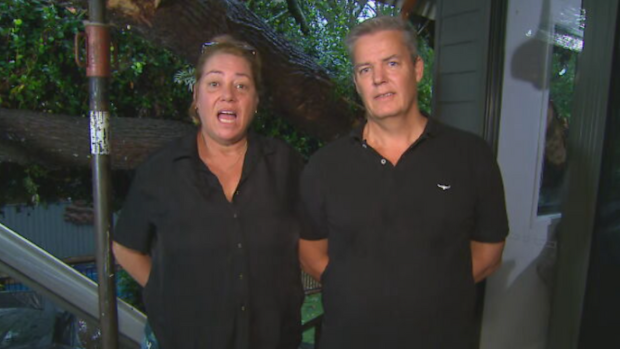 Dini and Mark had a 20 metre tree crash into their roof on Saturday night Today Show March 10, 2025