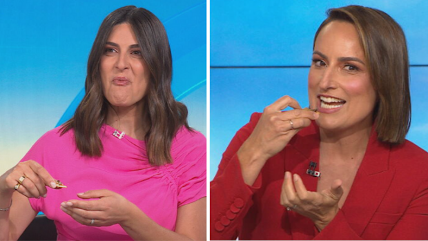 Sarah Abo Jayne Azzopardi tinned oysters Today Show October 22, 2025