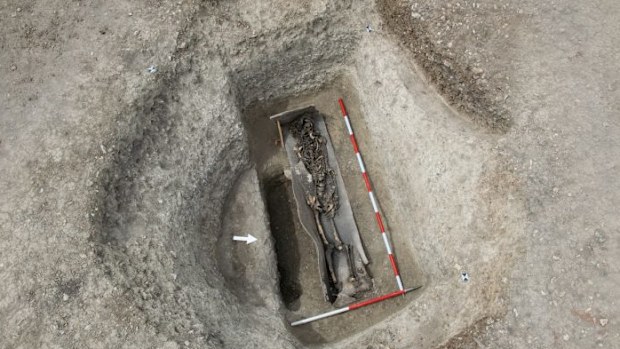 Wellwick Farm Iron Age remains 