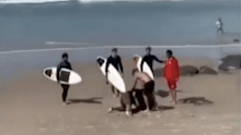Video footage has captured the moment two surfers became embroiled in a major blow on one of the busiest beaches near the Gold Coast, as others tried to step in.
