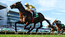 Sir Delius in action at the 2025 Turnbull Stakes at Flemington Racecourse.