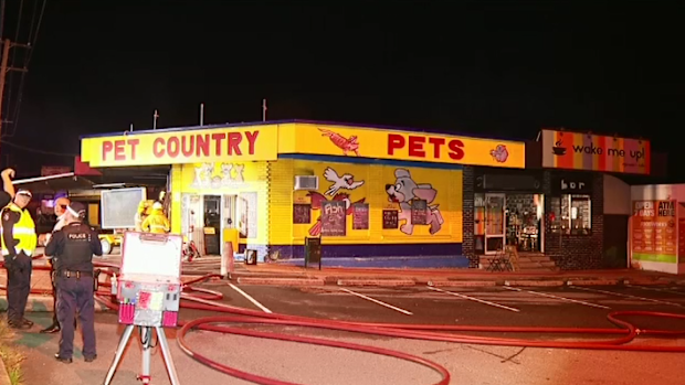 A large fire has ripped through several businesses south of Brisbane overnight, sadly resulting in the death of a number of pet shop animals.