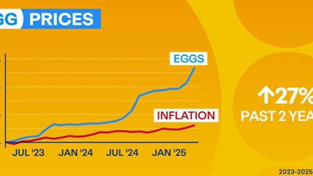 egg prices highest in the world cocoa cost falling aussies happy to pay for concert tickets