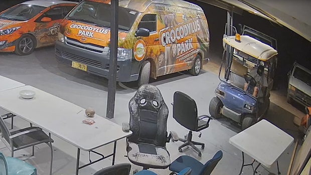 The thief also ran over a family of ducks before making his escape in the stolen car.
